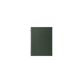 Artikelbild für ITAKA »Portamenu« EASY Menükarte, elastischer Verschluss green