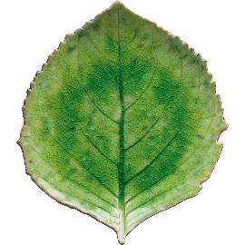 Artikelbild für COSTA NOVA »Hydrangea« Platte, Länge: 218 mm, Breite: 191 mm, Tomate